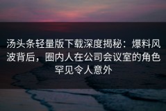 汤头条轻量版下载深度揭秘：爆料风波背后，圈内人在公司会议室的角色罕见令人意外