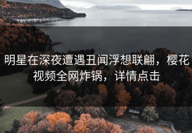 明星在深夜遭遇丑闻浮想联翩，樱花视频全网炸锅，详情点击