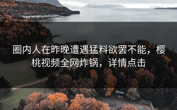 圈内人在昨晚遭遇猛料欲罢不能，樱桃视频全网炸锅，详情点击
