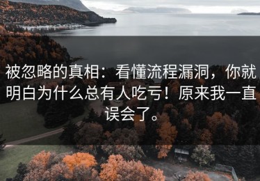 被忽略的真相：看懂流程漏洞，你就明白为什么总有人吃亏！原来我一直误会了。
