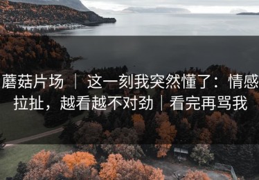 蘑菇片场 ｜ 这一刻我突然懂了：情感拉扯，越看越不对劲｜看完再骂我