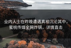 业内人士在昨晚遭遇真相沉沦其中，蜜桃传媒全网炸锅，详情直击