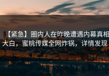 【紧急】圈内人在昨晚遭遇内幕真相大白，蜜桃传媒全网炸锅，详情发现