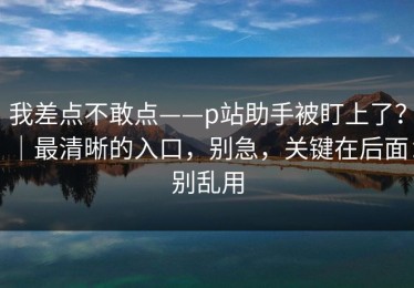 我差点不敢点——p站助手被盯上了？｜最清晰的入口，别急，关键在后面：别乱用