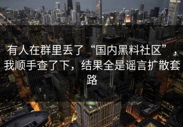 有人在群里丢了“国内黑料社区”，我顺手查了下，结果全是谣言扩散套路
