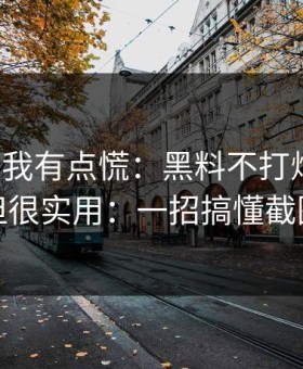 说真的我有点慌：黑料不打烊黑料：冷门但很实用：一招搞懂截图细节