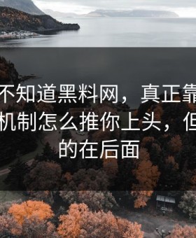 你可能不知道黑料网，真正靠的是平台推荐机制怎么推你上头，但更可怕的在后面