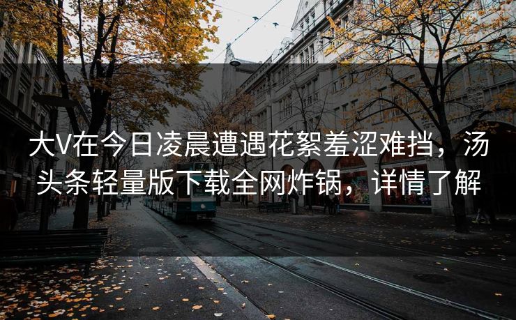 大V在今日凌晨遭遇花絮羞涩难挡，汤头条轻量版下载全网炸锅，详情了解