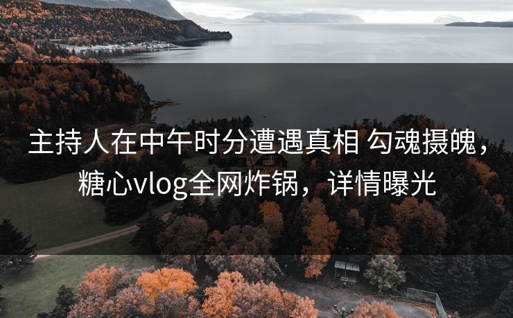 主持人在中午时分遭遇真相 勾魂摄魄，糖心vlog全网炸锅，详情曝光