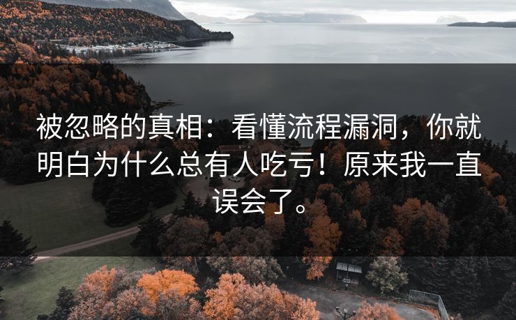 被忽略的真相：看懂流程漏洞，你就明白为什么总有人吃亏！原来我一直误会了。